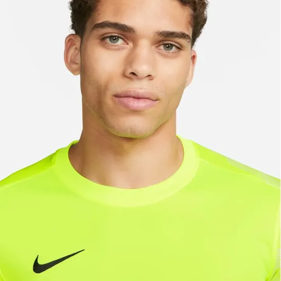 Реглан Nike Dry Park IV Goalkeeper CJ6066-702