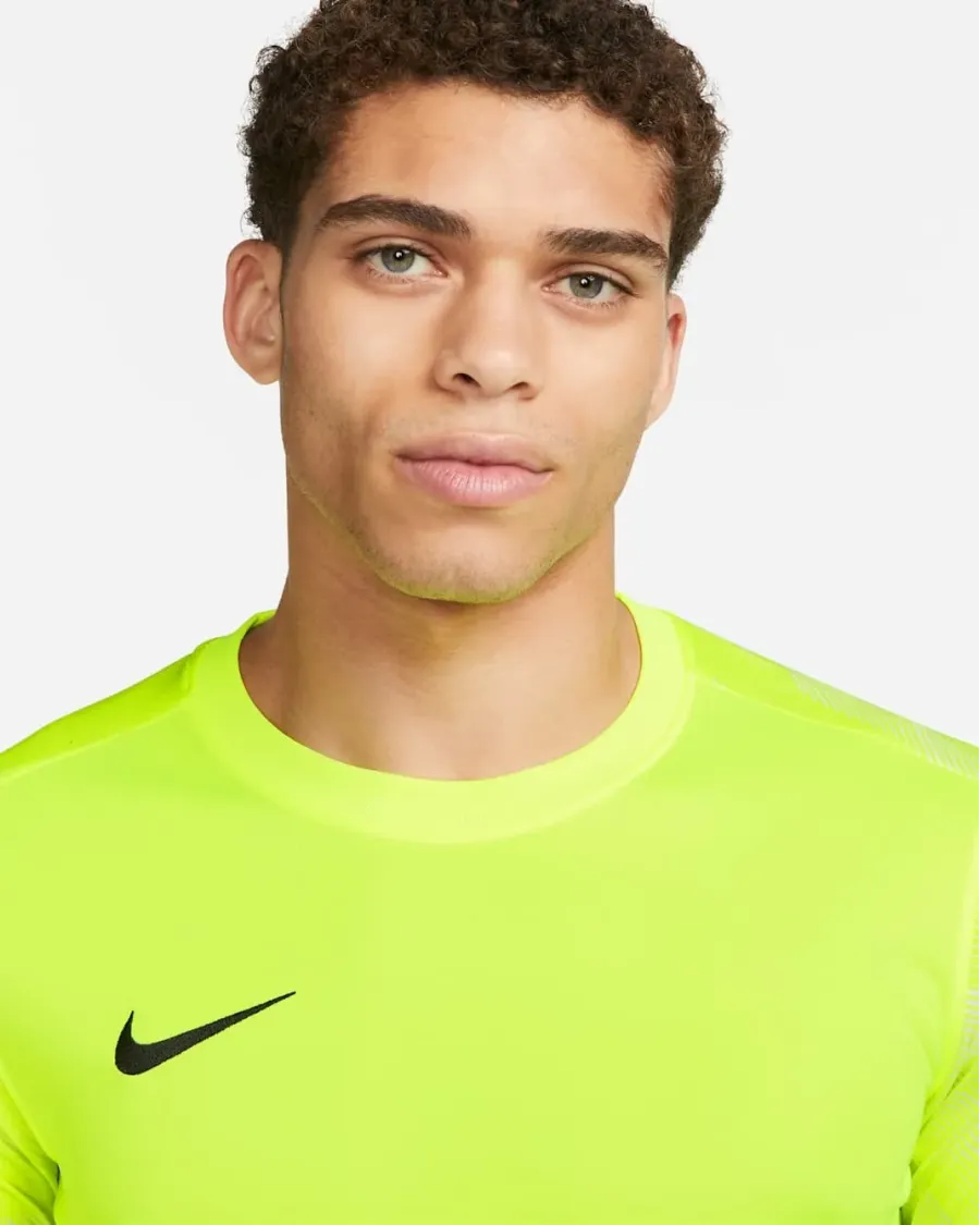 Реглан Nike Dry Park IV Goalkeeper CJ6066-702