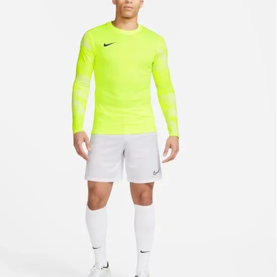 Реглан Nike Dry Park IV Goalkeeper CJ6066-702