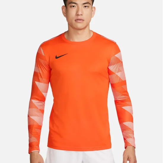 Реглан Nike Dry Park IV Goalkeeper CJ6066-819
