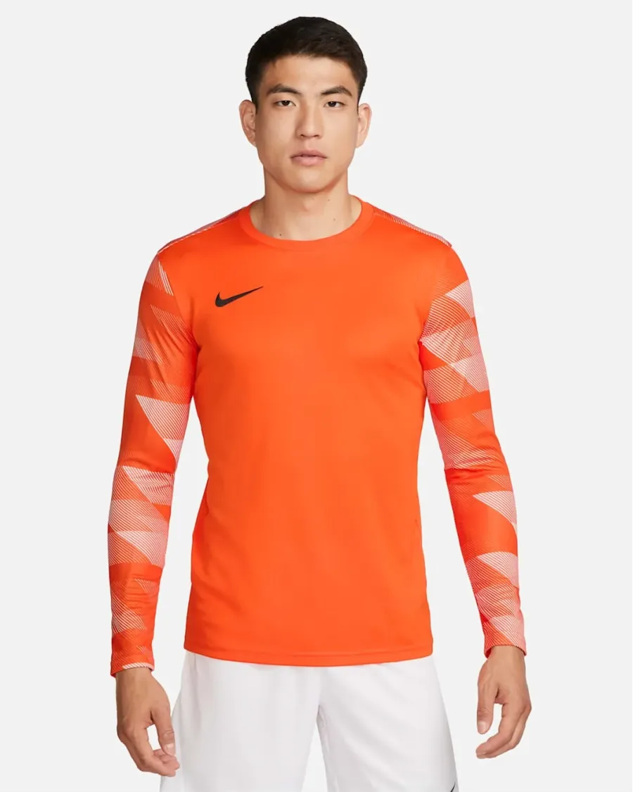 Реглан Nike Dry Park IV Goalkeeper CJ6066-819