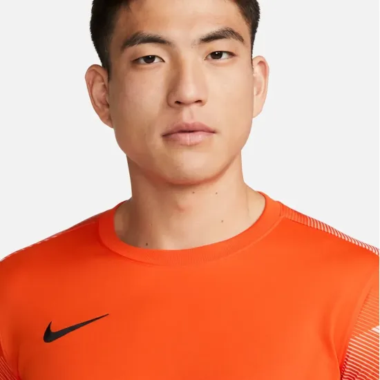 Реглан Nike Dry Park IV Goalkeeper CJ6066-819