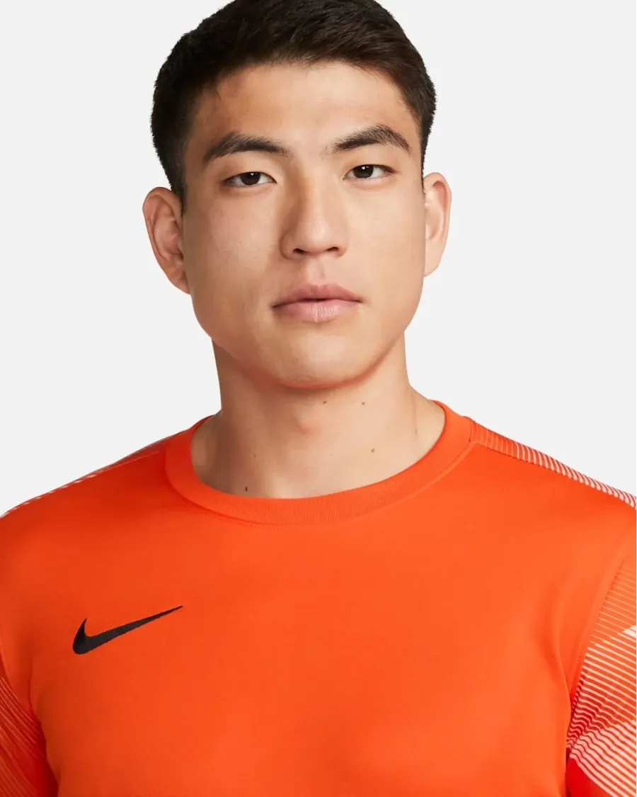 Реглан Nike Dry Park IV Goalkeeper CJ6066-819