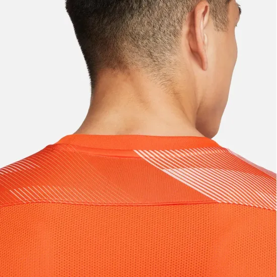 Реглан Nike Dry Park IV Goalkeeper CJ6066-819