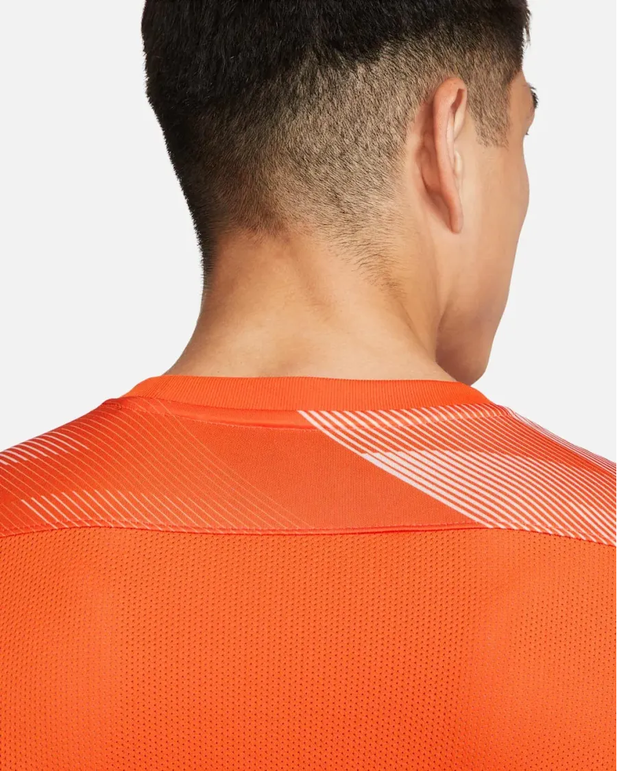 Реглан Nike Dry Park IV Goalkeeper CJ6066-819