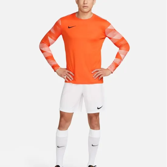 Реглан Nike Dry Park IV Goalkeeper CJ6066-819