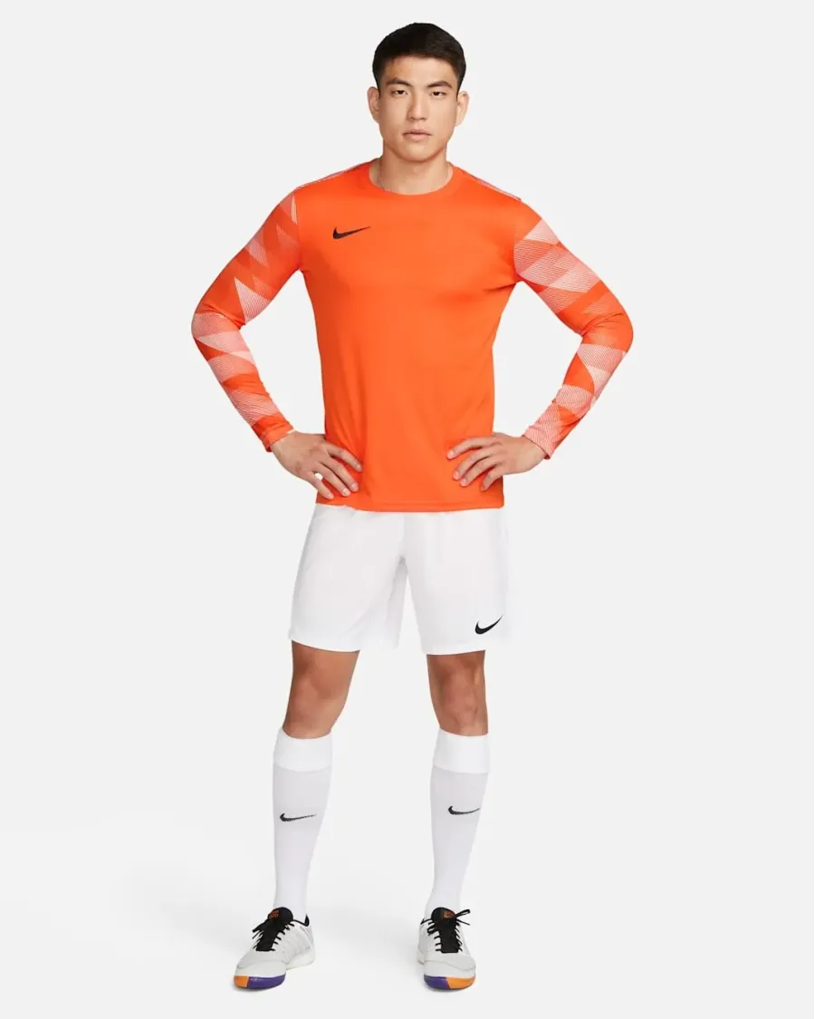 Реглан Nike Dry Park IV Goalkeeper CJ6066-819