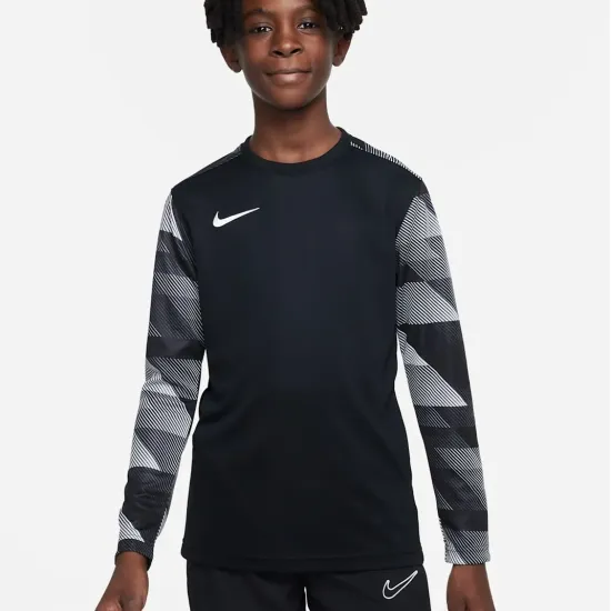 Реглан Nike Dry Park IV Goalkeeper Jersey CJ6072-010
