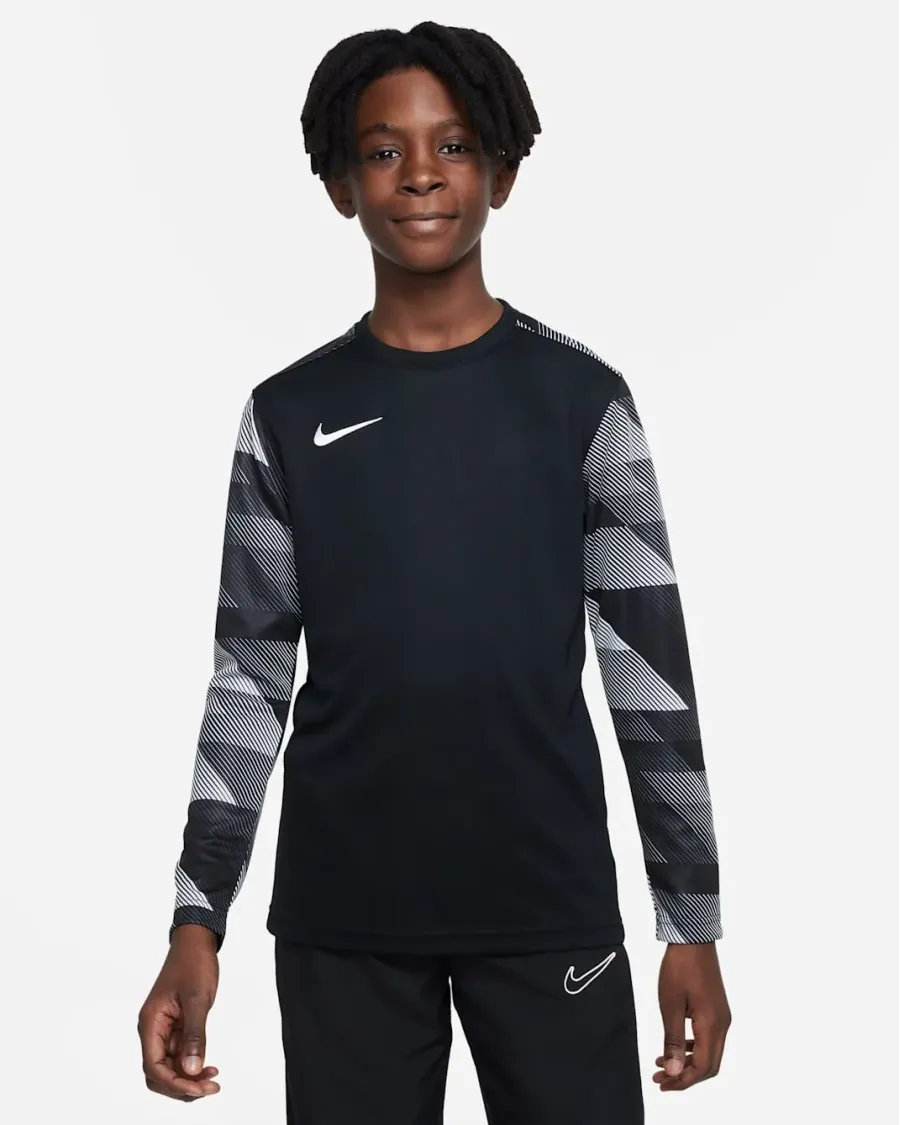 Реглан Nike Dry Park IV Goalkeeper Jersey CJ6072-010
