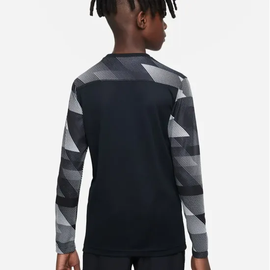 Реглан Nike Dry Park IV Goalkeeper Jersey CJ6072-010