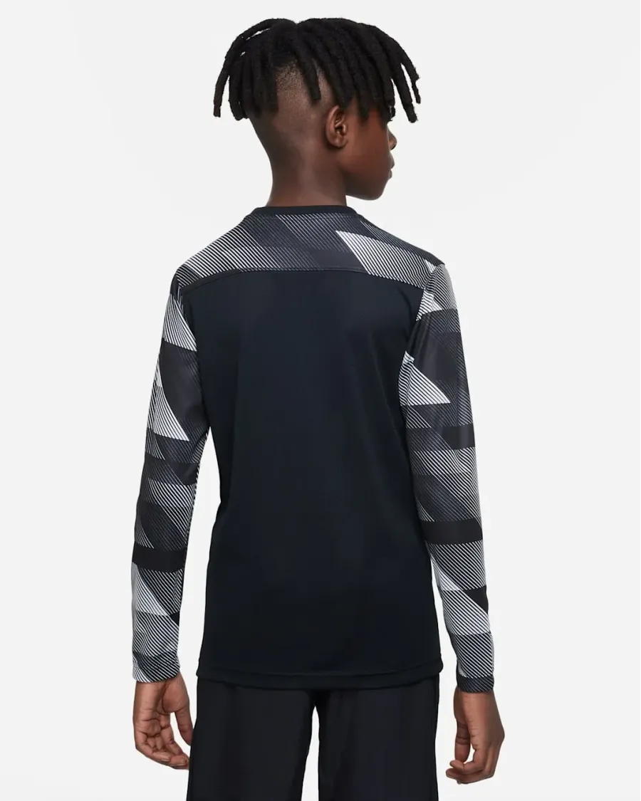 Реглан Nike Dry Park IV Goalkeeper Jersey CJ6072-010