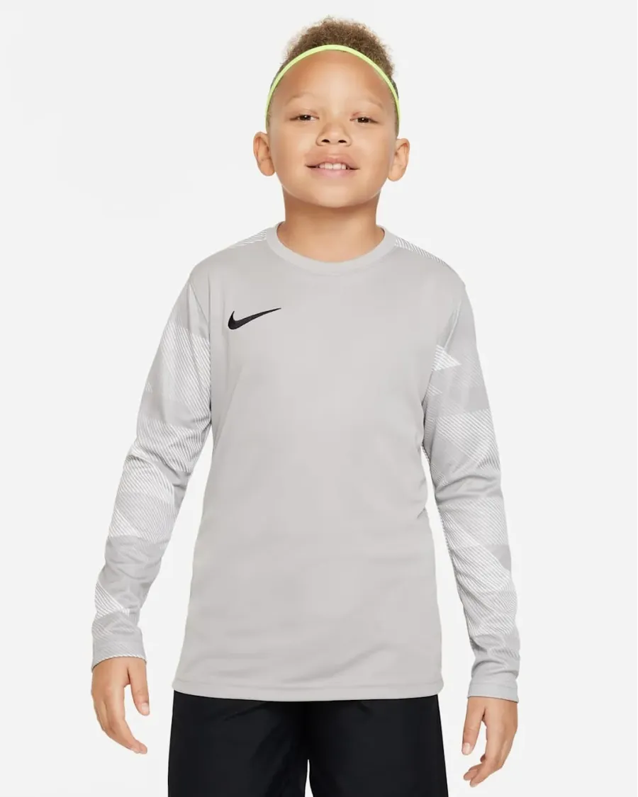 Реглан Nike Dry Park IV Goalkeeper Jersey CJ6072-052