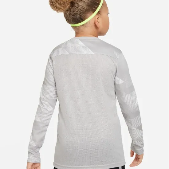 Реглан Nike Dry Park IV Goalkeeper Jersey CJ6072-052