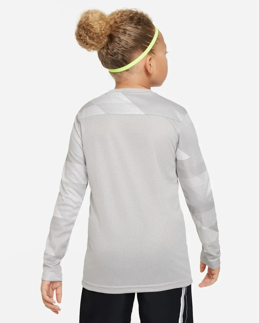 Реглан Nike Dry Park IV Goalkeeper Jersey CJ6072-052
