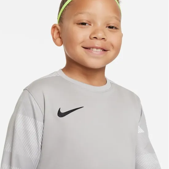 Реглан Nike Dry Park IV Goalkeeper Jersey CJ6072-052