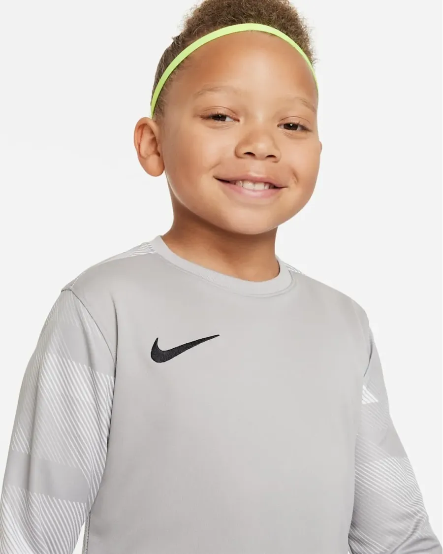 Реглан Nike Dry Park IV Goalkeeper Jersey CJ6072-052