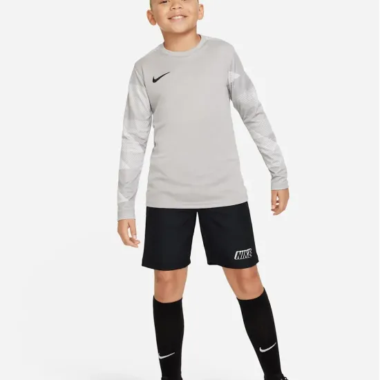 Реглан Nike Dry Park IV Goalkeeper Jersey CJ6072-052