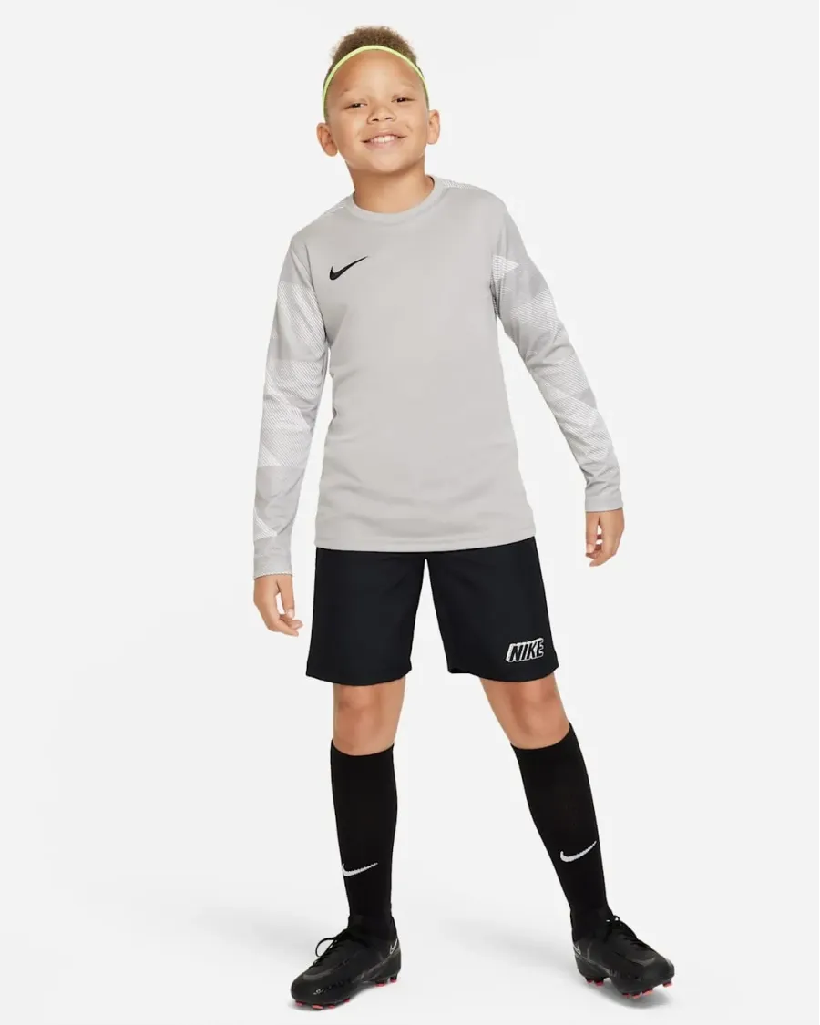 Реглан Nike Dry Park IV Goalkeeper Jersey CJ6072-052