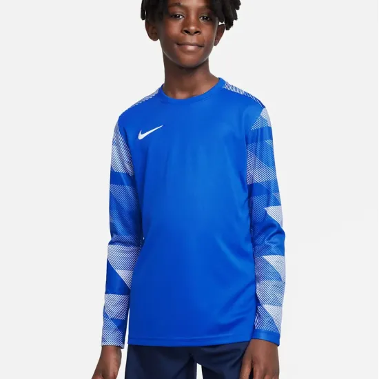 Реглан Nike Dry Park IV Goalkeeper Jersey CJ6072-463