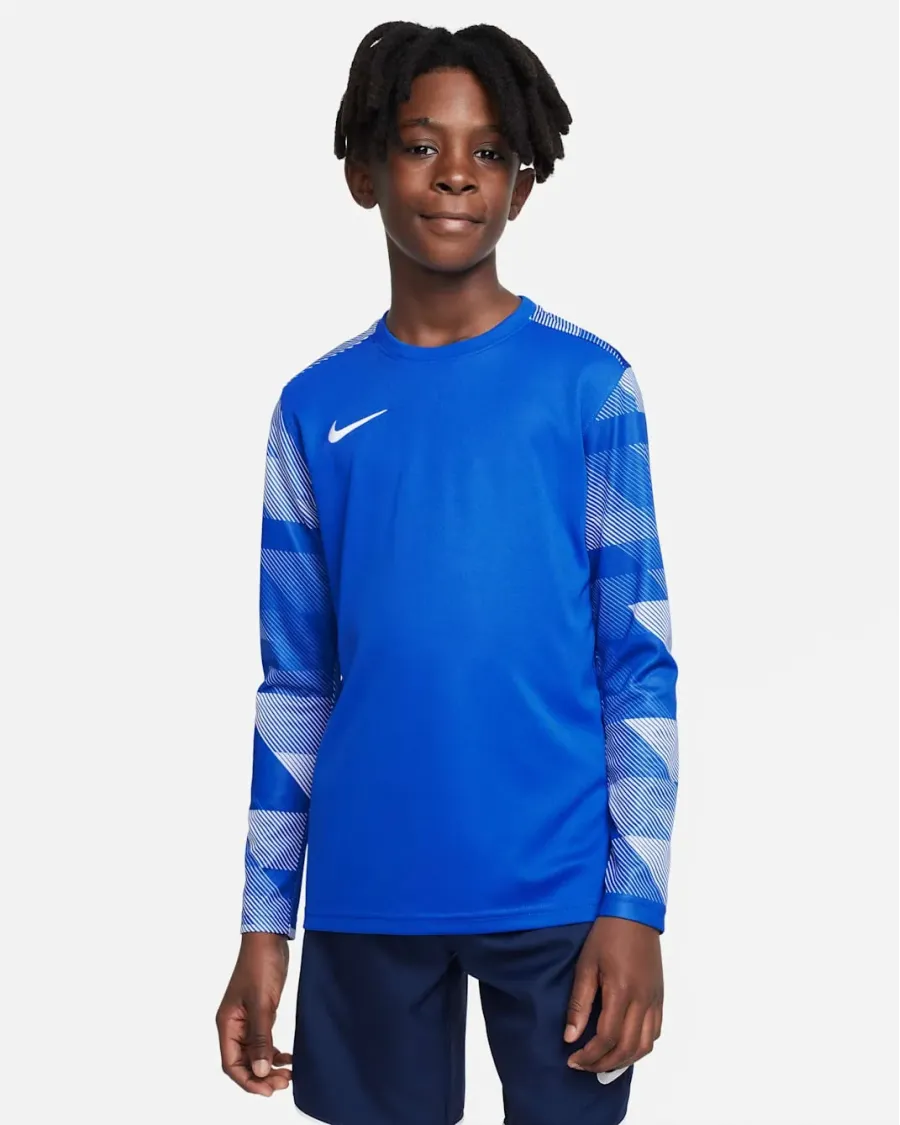 Реглан Nike Dry Park IV Goalkeeper Jersey CJ6072-463