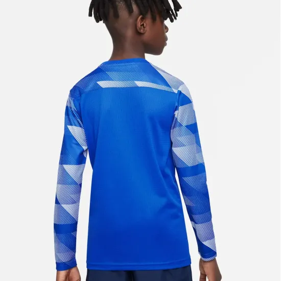 Реглан Nike Dry Park IV Goalkeeper Jersey CJ6072-463