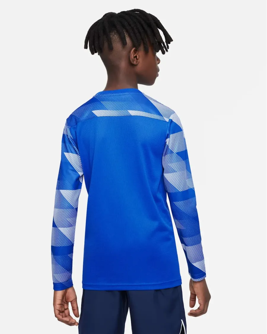 Реглан Nike Dry Park IV Goalkeeper Jersey CJ6072-463