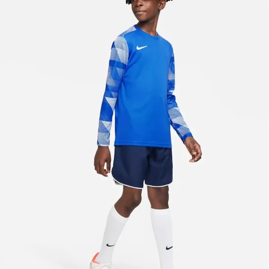 Реглан Nike Dry Park IV Goalkeeper Jersey CJ6072-463