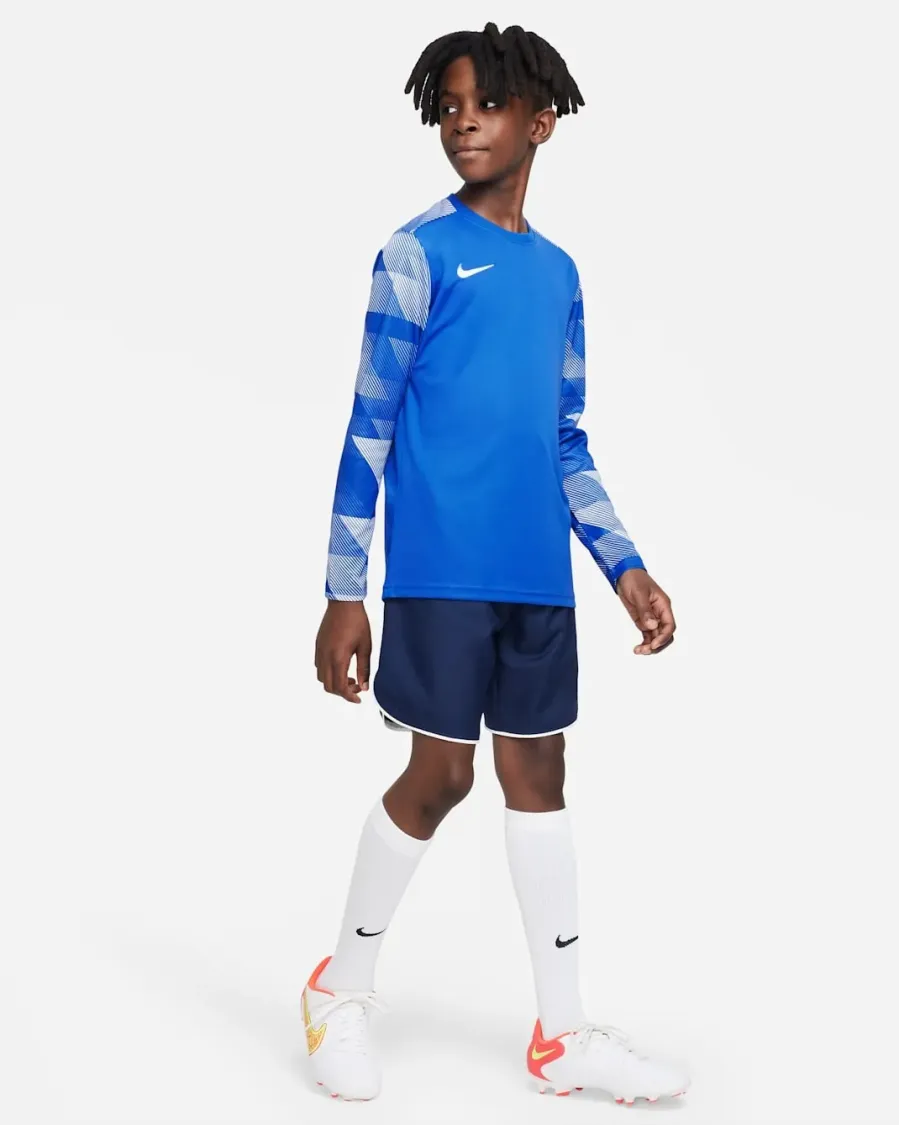 Реглан Nike Dry Park IV Goalkeeper Jersey CJ6072-463