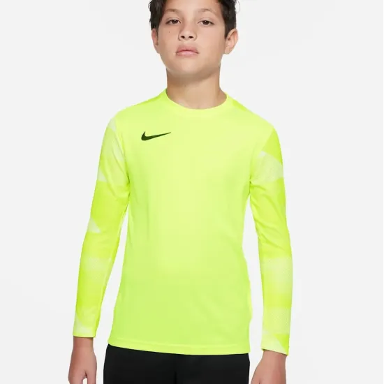Реглан Nike Dry Park IV Goalkeeper Jersey CJ6072-702