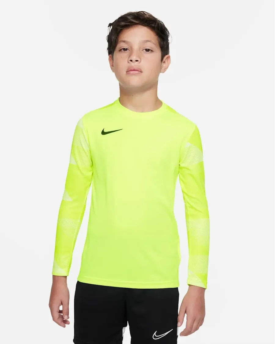 Реглан Nike Dry Park IV Goalkeeper Jersey CJ6072-702