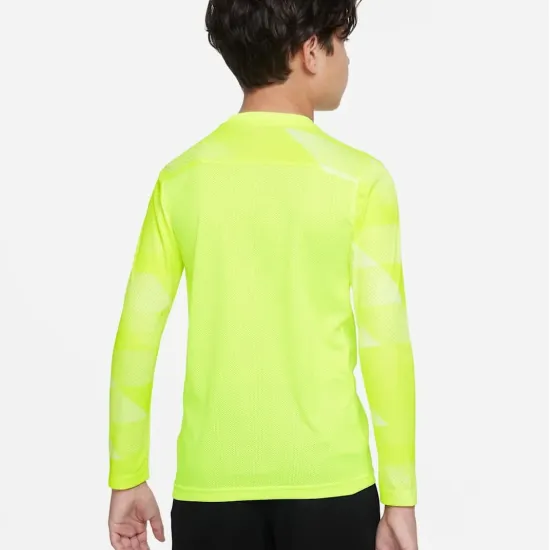 Реглан Nike Dry Park IV Goalkeeper Jersey CJ6072-702