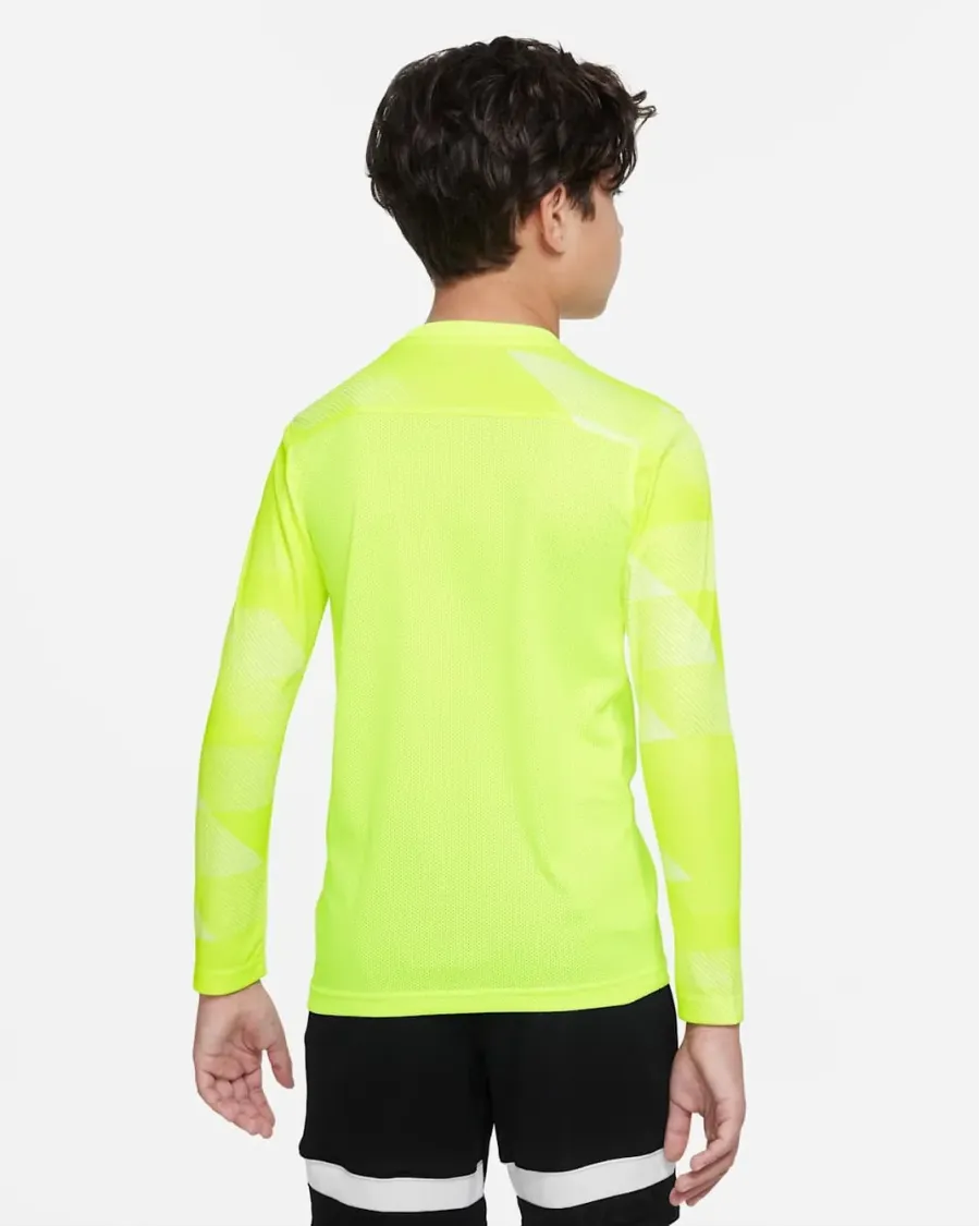 Реглан Nike Dry Park IV Goalkeeper Jersey CJ6072-702
