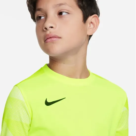 Реглан Nike Dry Park IV Goalkeeper Jersey CJ6072-702