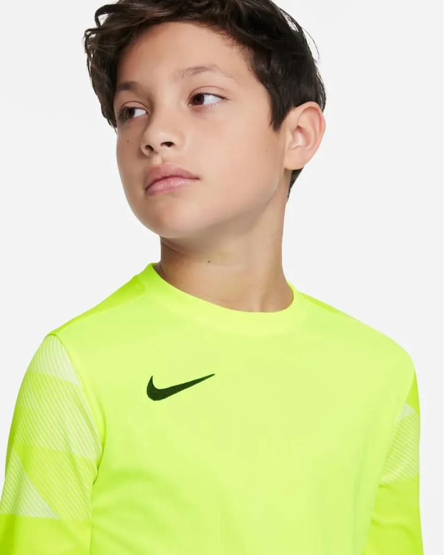 Реглан Nike Dry Park IV Goalkeeper Jersey CJ6072-702