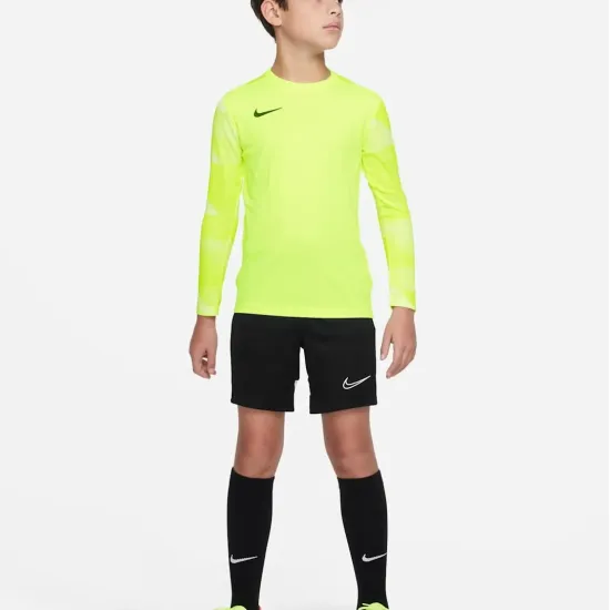 Реглан Nike Dry Park IV Goalkeeper Jersey CJ6072-702