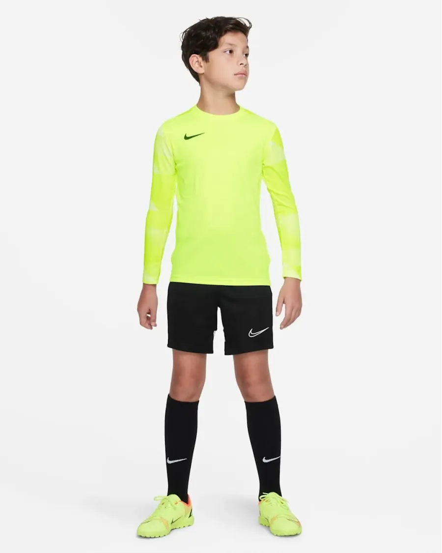 Реглан Nike Dry Park IV Goalkeeper Jersey CJ6072-702