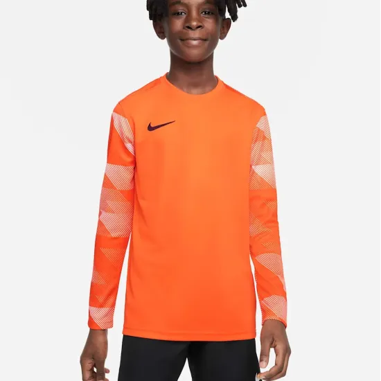 Реглан Nike Dry Park IV Goalkeeper Jersey CJ6072-819