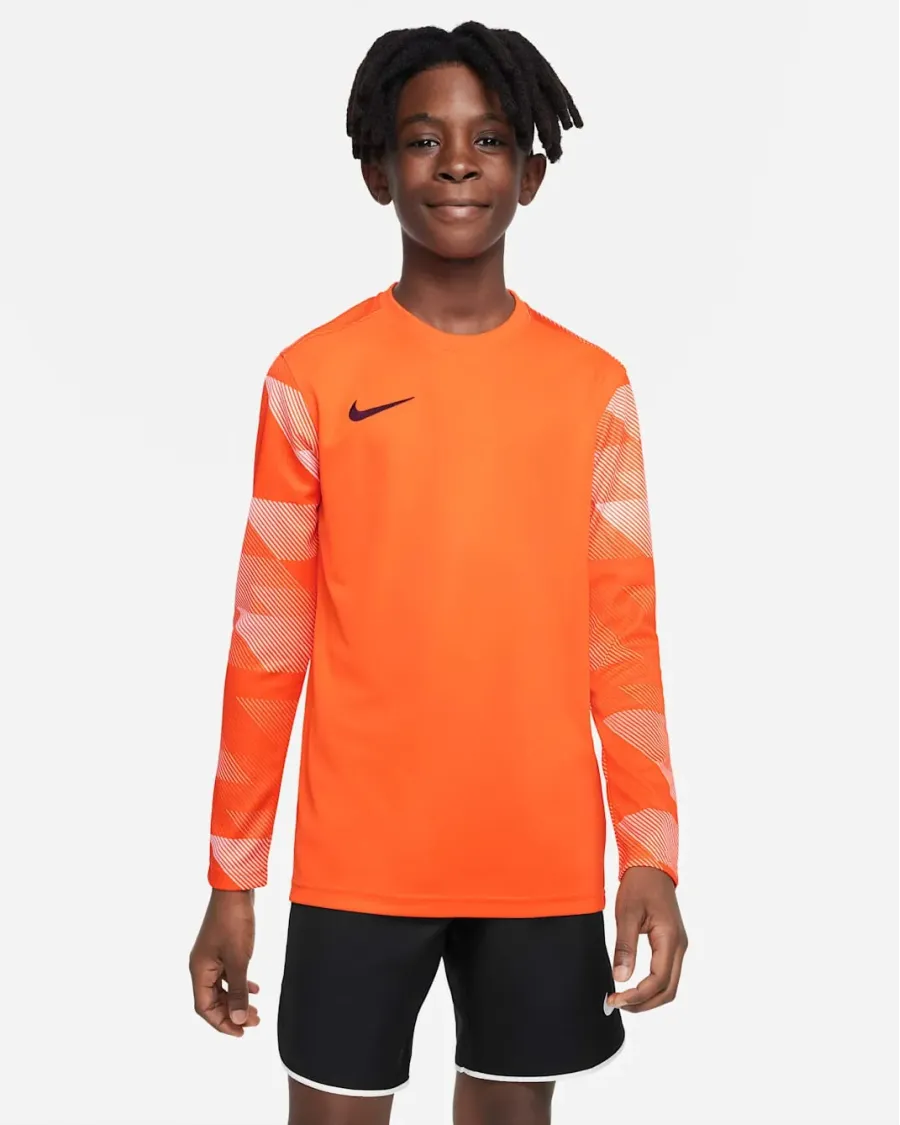 Реглан Nike Dry Park IV Goalkeeper Jersey CJ6072-819