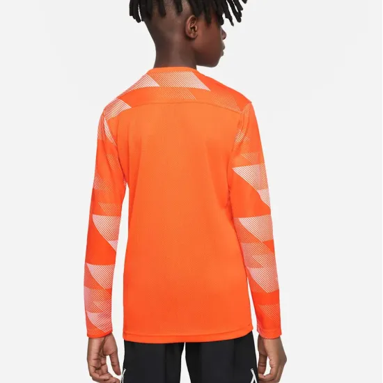 Реглан Nike Dry Park IV Goalkeeper Jersey CJ6072-819