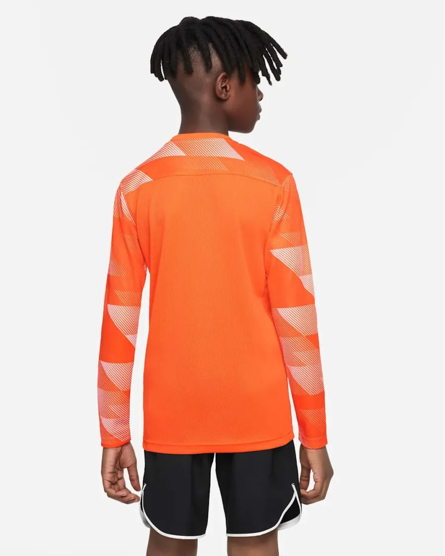 Реглан Nike Dry Park IV Goalkeeper Jersey CJ6072-819