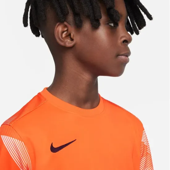 Реглан Nike Dry Park IV Goalkeeper Jersey CJ6072-819