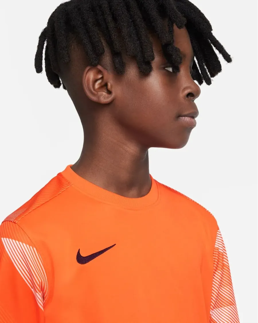 Реглан Nike Dry Park IV Goalkeeper Jersey CJ6072-819
