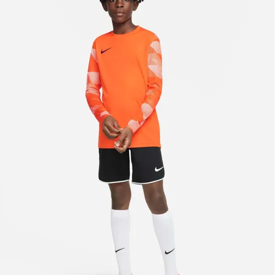 Реглан Nike Dry Park IV Goalkeeper Jersey CJ6072-819