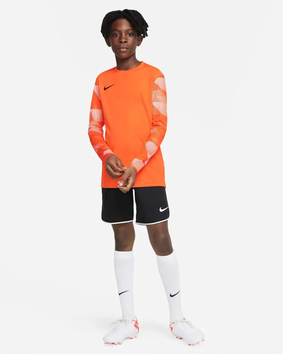 Реглан Nike Dry Park IV Goalkeeper Jersey CJ6072-819