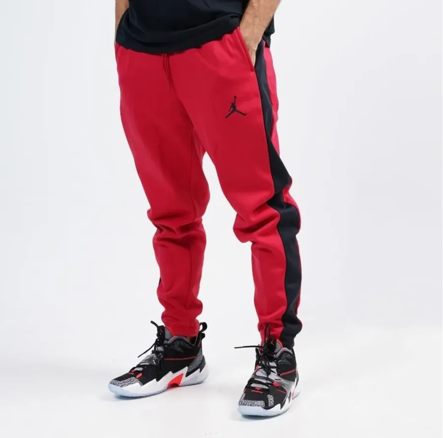 Штани Nike Air Jordan Therma Fleece CK6798-687