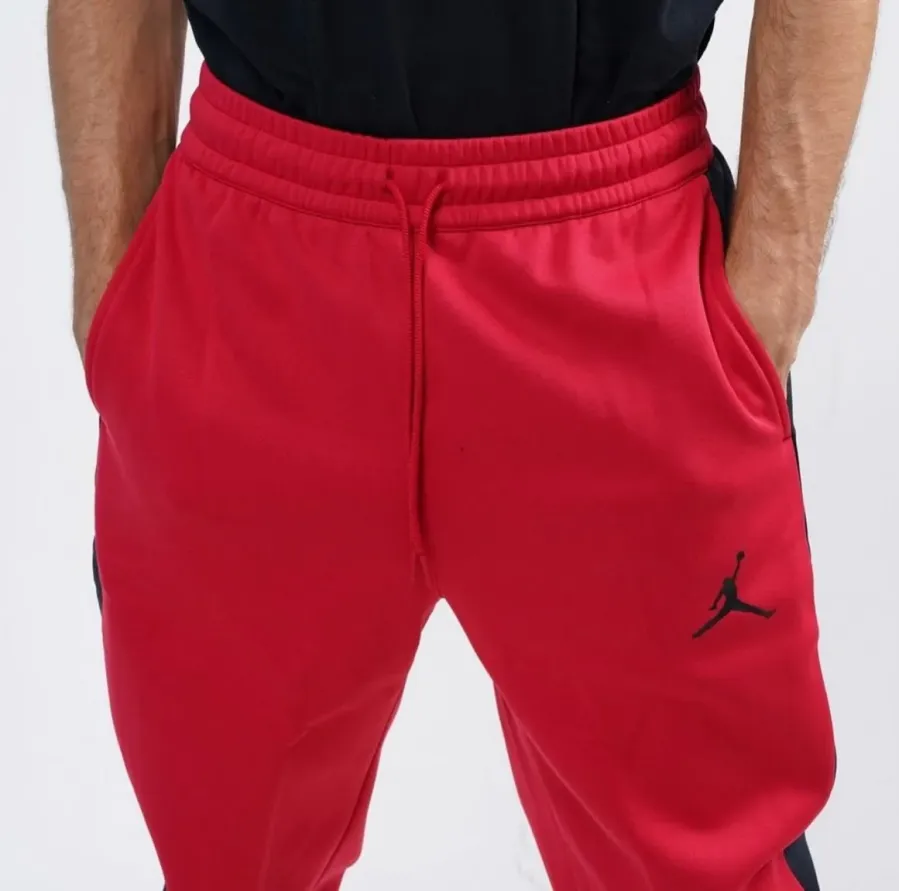 Штани Nike Air Jordan Therma Fleece CK6798-687