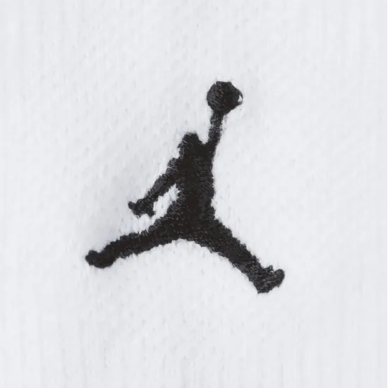 Шкарпетки Nike Air Jordan Zion Flight Crew CU7914-100