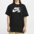Футболка Nike SB Logo Skate CV7539-010