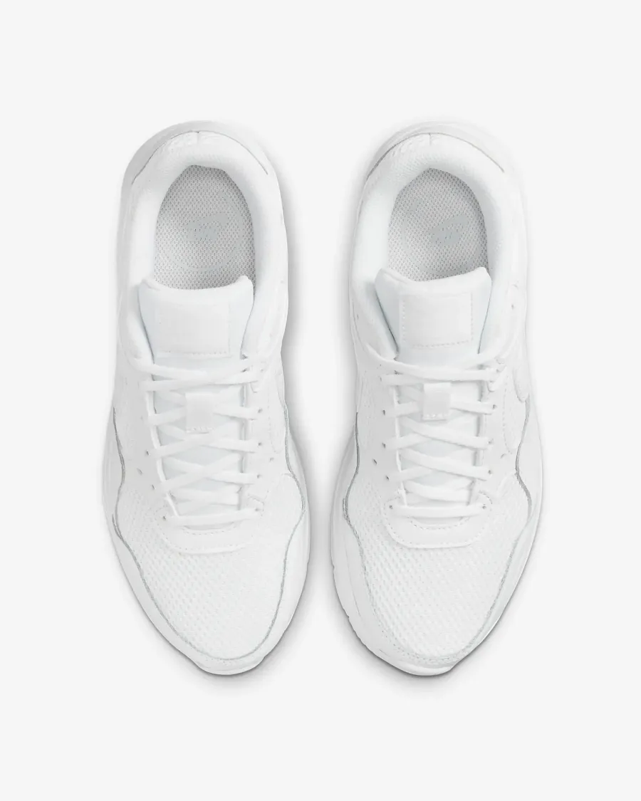 Кросівки Nike Air Max SC CW4554-101