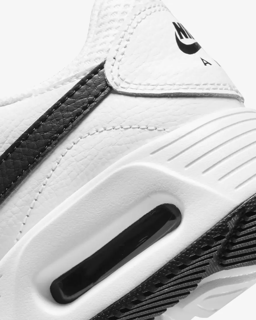 Кросівки Nike Air Max SC CW4554-103